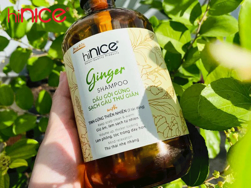 Dầu gội làm phồng tóc thiên nhiên tinh dầu gừng hiNICE