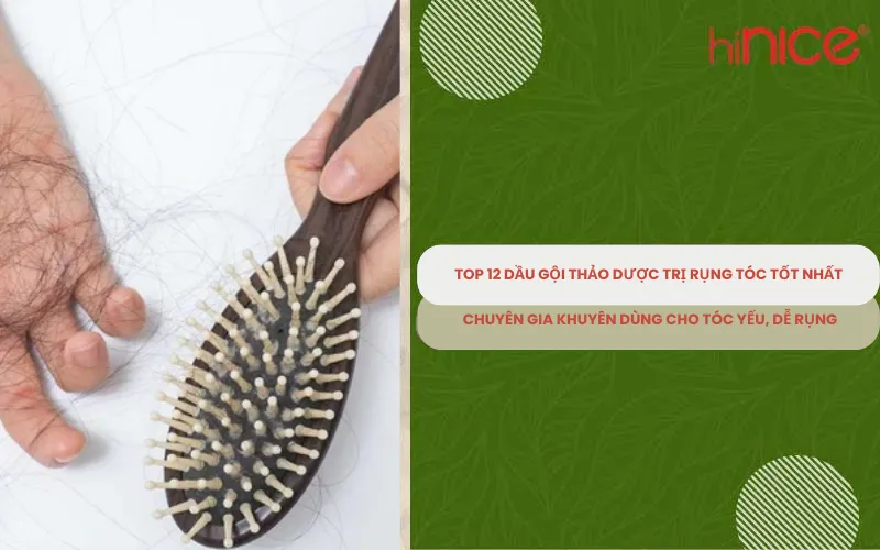 Top 10 dầu gội thảo dược trị rụng tóc tốt nhất - Chuyên gia khuyên dùng