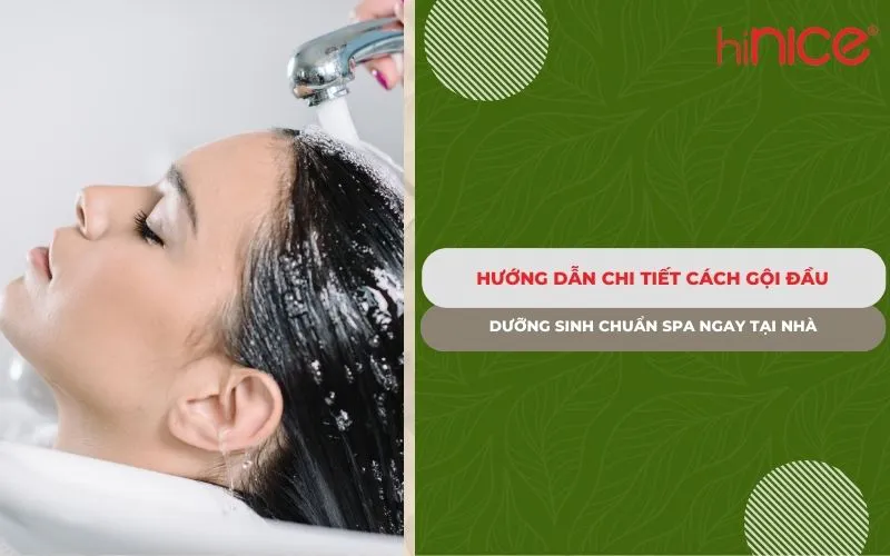 Hướng dẫn chi tiết cách gội đầu dưỡng sinh chuẩn spa ngay tại nhà