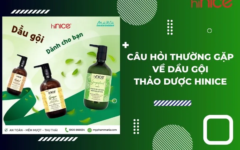 Những câu hỏi thường gặp về dầu gội tinh dầu thảo dược thiên nhiên hiNICE