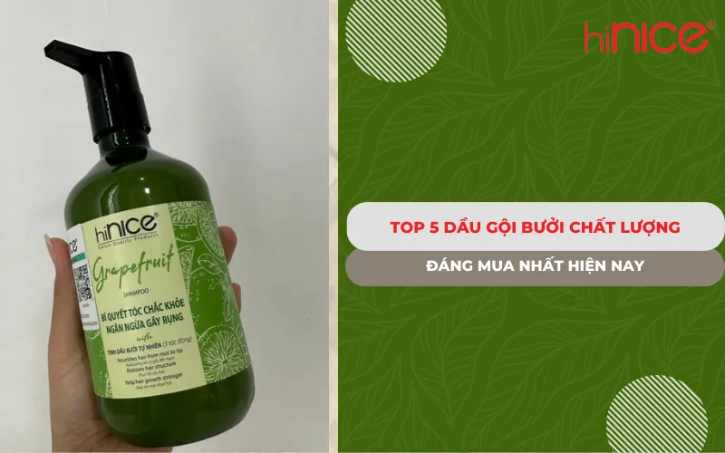 Top 5 dầu gội bưởi chất lượng đáng mua và phổ biến nhất hiện nay