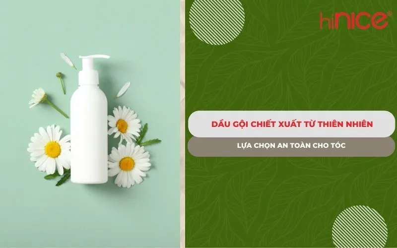 Dầu gội chiết xuất từ thiên nhiên: Lựa chọn an toàn cho tóc
