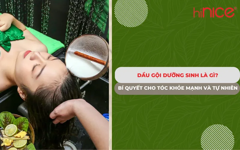 Dầu gội dưỡng sinh là gì? Bí quyết cho tóc khỏe mạnh và tự nhiên