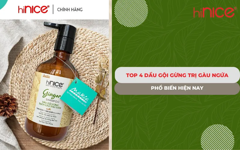 Top 4 Dầu gội gừng trị gàu ngứa phổ biến hiện nay
