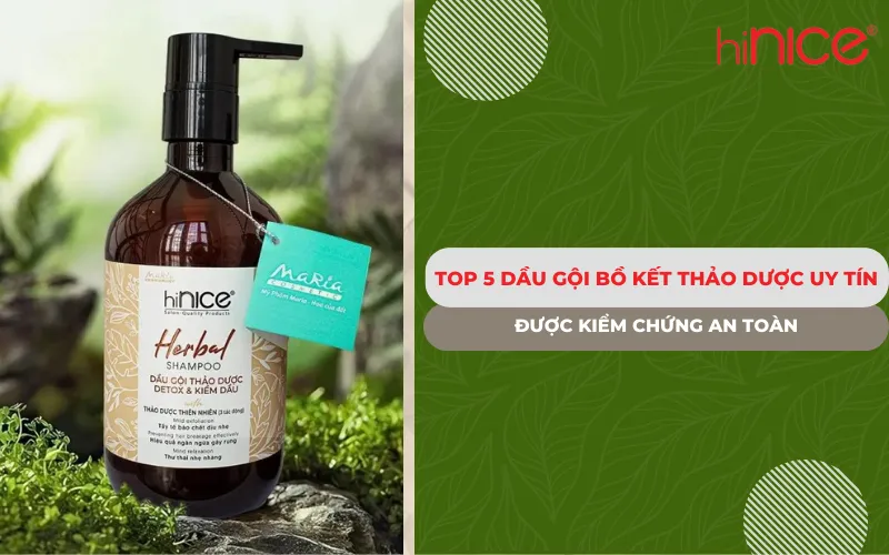 Top 5 dầu gội bồ kết thảo dược uy tín được kiểm chứng an toàn