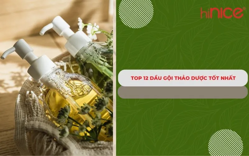 Khám phá top 12 dầu gội thảo dược tốt nhất hiện nay