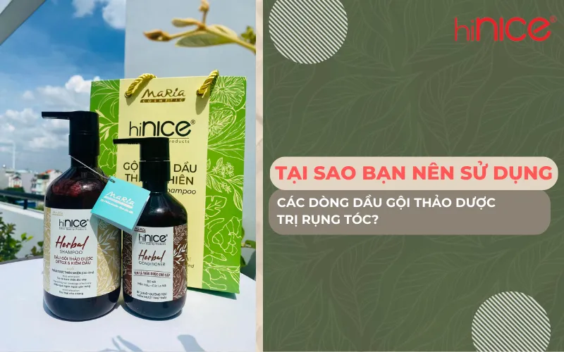 Tại sao bạn nên sử dụng các dòng dầu gội thảo dược trị rụng tóc?