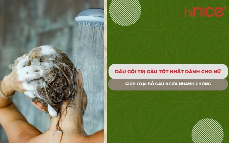 Dầu gội trị gàu tốt nhất cho nữ giúp loại bỏ gàu ngứa nhanh chóng