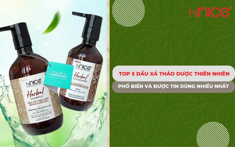 Top 5 dầu xả thảo dược thiên nhiên phổ biến và được tin dùng nhiều nhất