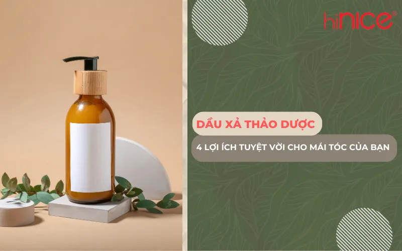 Dầu xả thảo dược và 4 lợi ích tuyệt vời cho mái tóc của bạn