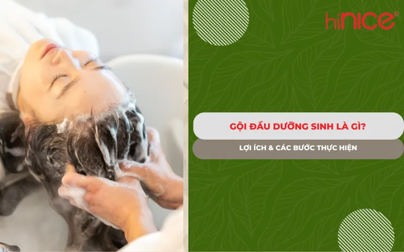 Gội đầu dưỡng sinh là gì? Lợi ích & Các bước thực hiện
