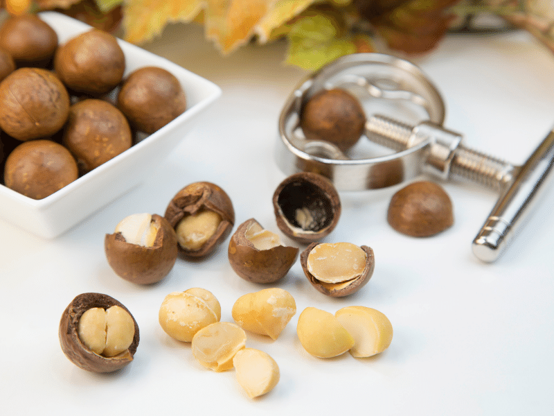 Tác dụng thần kỳ của hạt macca đối với sức khỏe Tác dụng thần kỳ của hạt macca đối với sức khỏe