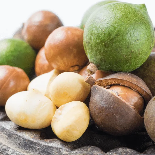 Macca Hộp nhựa 500g