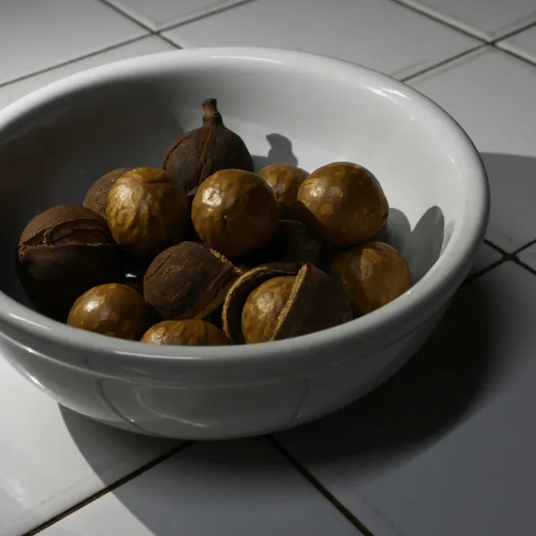 Macca Hộp nhựa 500g