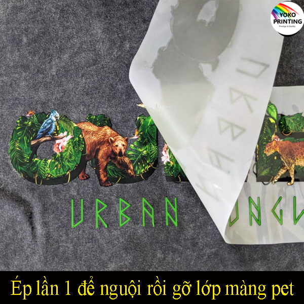 go mang hinh pet sau khi ep mot lan