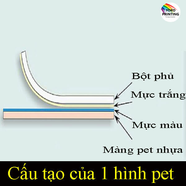 cau tao hinh in pet chuyen nhiet hoan chinh