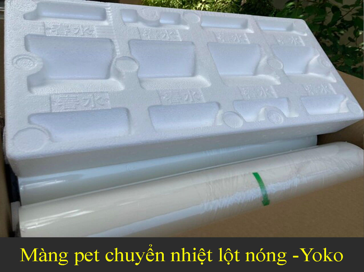 mang in pet chuyen nhiet lot nong tai xuong in yoko