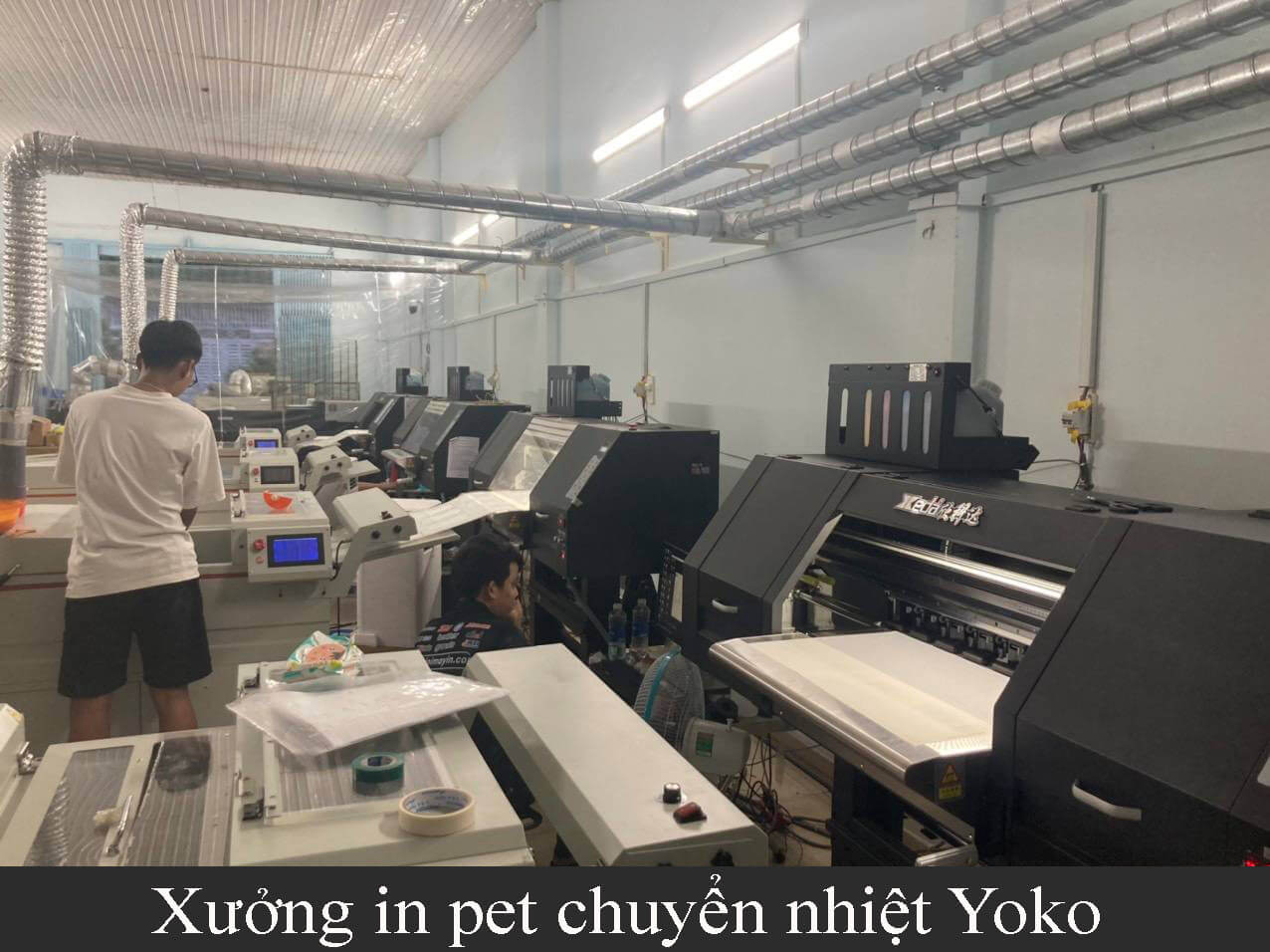 xuong in pet chuyen nhiet yoko