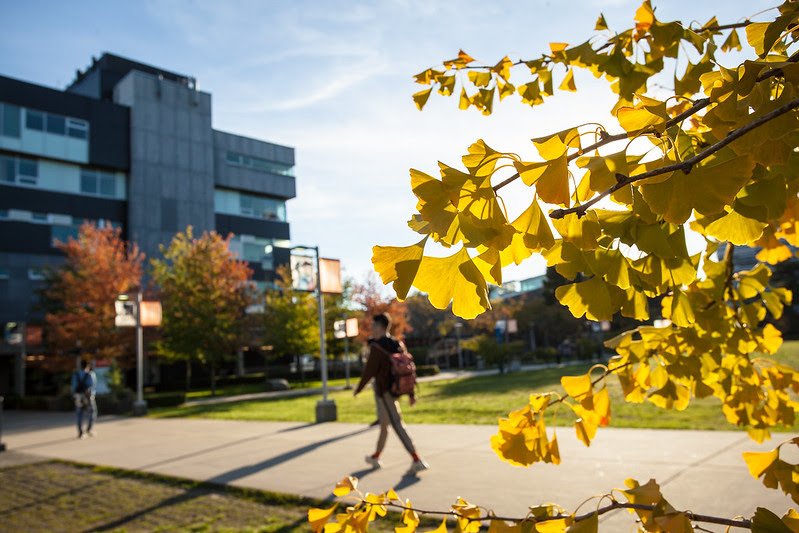 Langara College Vancouver dừng tuyển sinh chương trình Tiếng Anh từ sau kỳ 9/2025