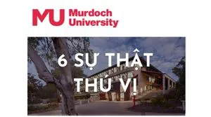 6 Sự Thật Thú Vị Về Đại Học Murdoch Singapore