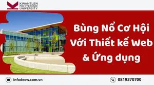 Ngành học “chiếm sóng” thị trường việc làm với hơn 31,000 cơ hội trong thập kỷ tới:THIẾT KẾ WEB VÀ ỨNG DỤNG