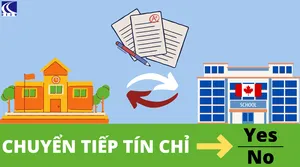Du học Canada 2023: Chuyển tiếp tín chỉ nên hay không?