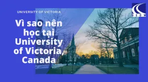 Vì Sao Nên Học Tại University Of Victoria, Canada? ?