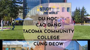 Tại Sao Nên Bắt Đầu Hành Trình Du Học Từ Cao Đẳng Cộng Đồng