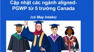Cập nhật mới nhất các ngành Aligned- PGWP từ 5 trường Canada hàng đầu