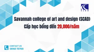 Đai Học Mỹ Cấp Học Bổng - Đại Học Dành Cho Nghề Sáng Tạo (SCAD)