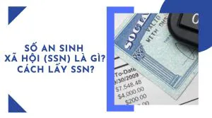 LẤY SỐ AN SINH XÃ HỘI