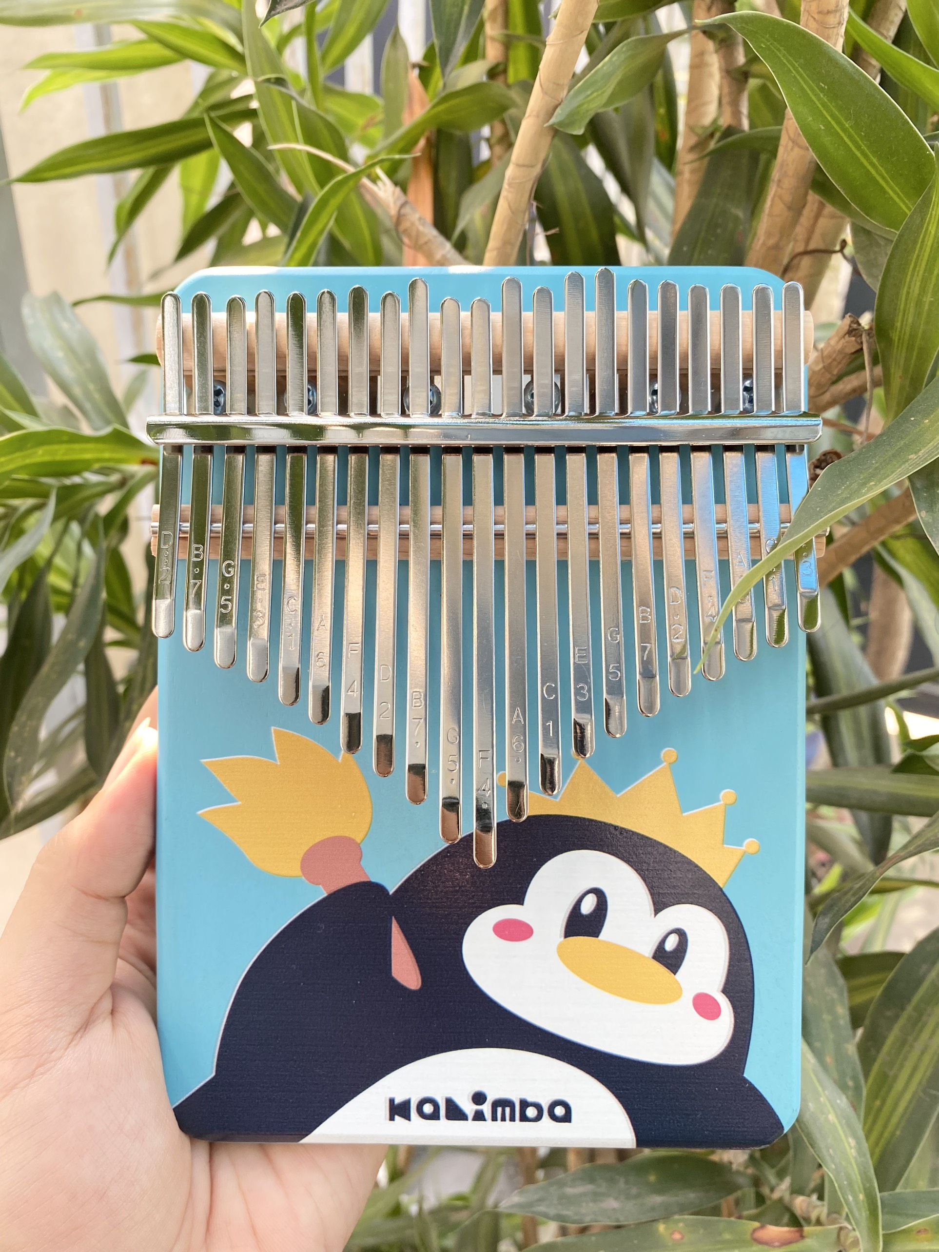 Xuất hiện đốt phá của đàn Kalimba 21 phím Xuất hiện đốt phá của đàn Kalimba 21 phím