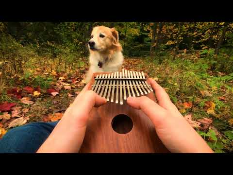 Giá kalimba rẻ, chất lượng uy tín Giá kalimba rẻ, chất lượng uy tín