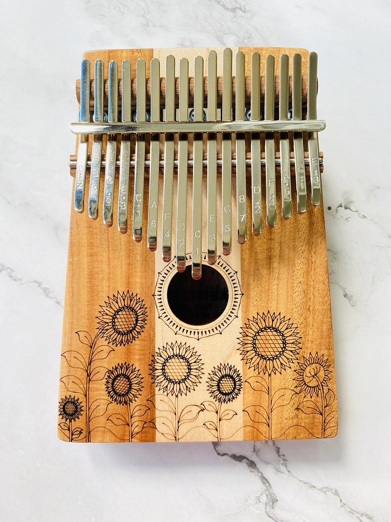 Kalimba có phù hợp với thể loại nhạc trẻ hay không? Kalimba có phù hợp với thể loại nhạc trẻ hay không?