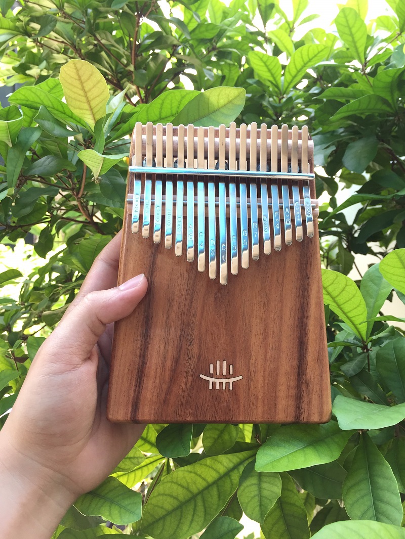 Dòng đàn Kalimba có thể chơi thể loại nhạc nào? Dòng đàn Kalimba có thể chơi thể loại nhạc nào?