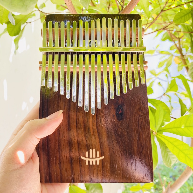 Điều gì giúp Kalimba được sự yêu thích của mọi người đến vậy Điều gì giúp Kalimba được sự yêu thích của mọi người đến vậy