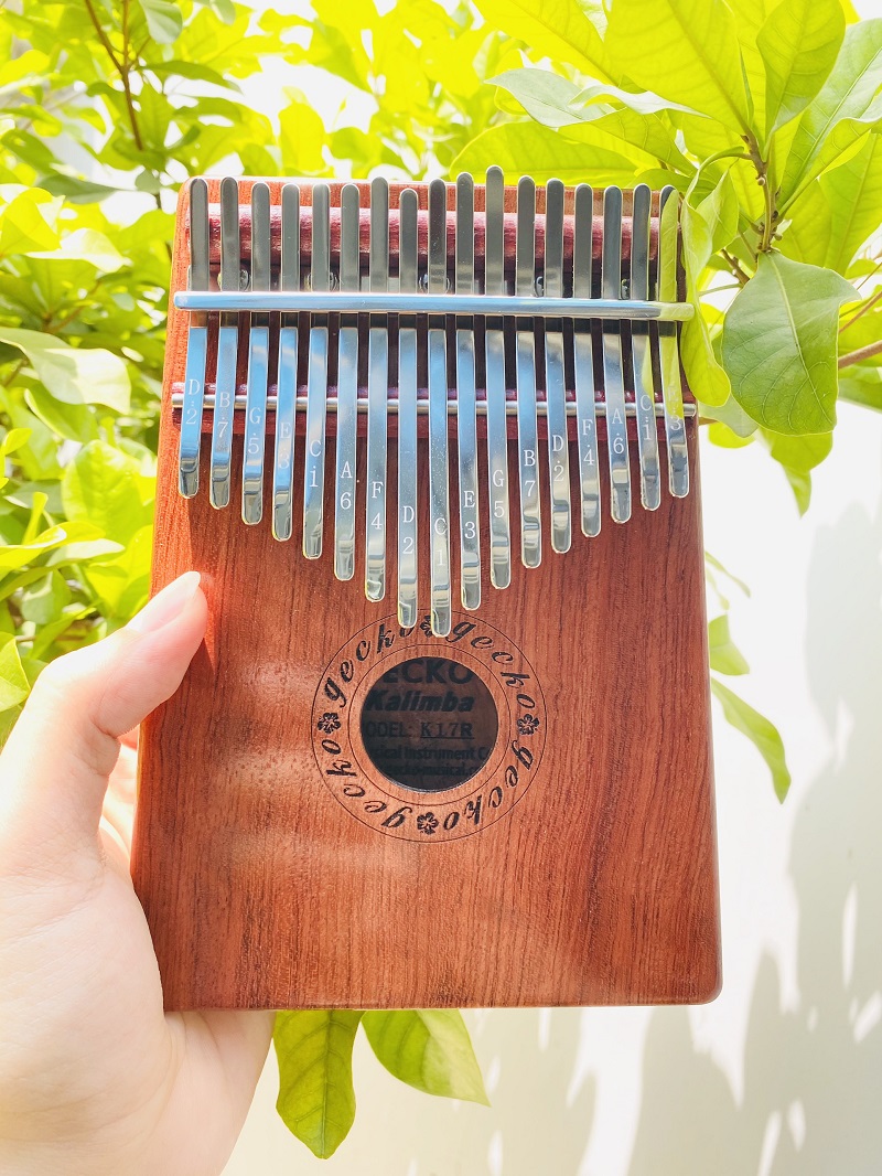 Những đặc điểm để biết bạn phù hợp với Kalimba nào Những đặc điểm để biết bạn phù hợp với Kalimba nào