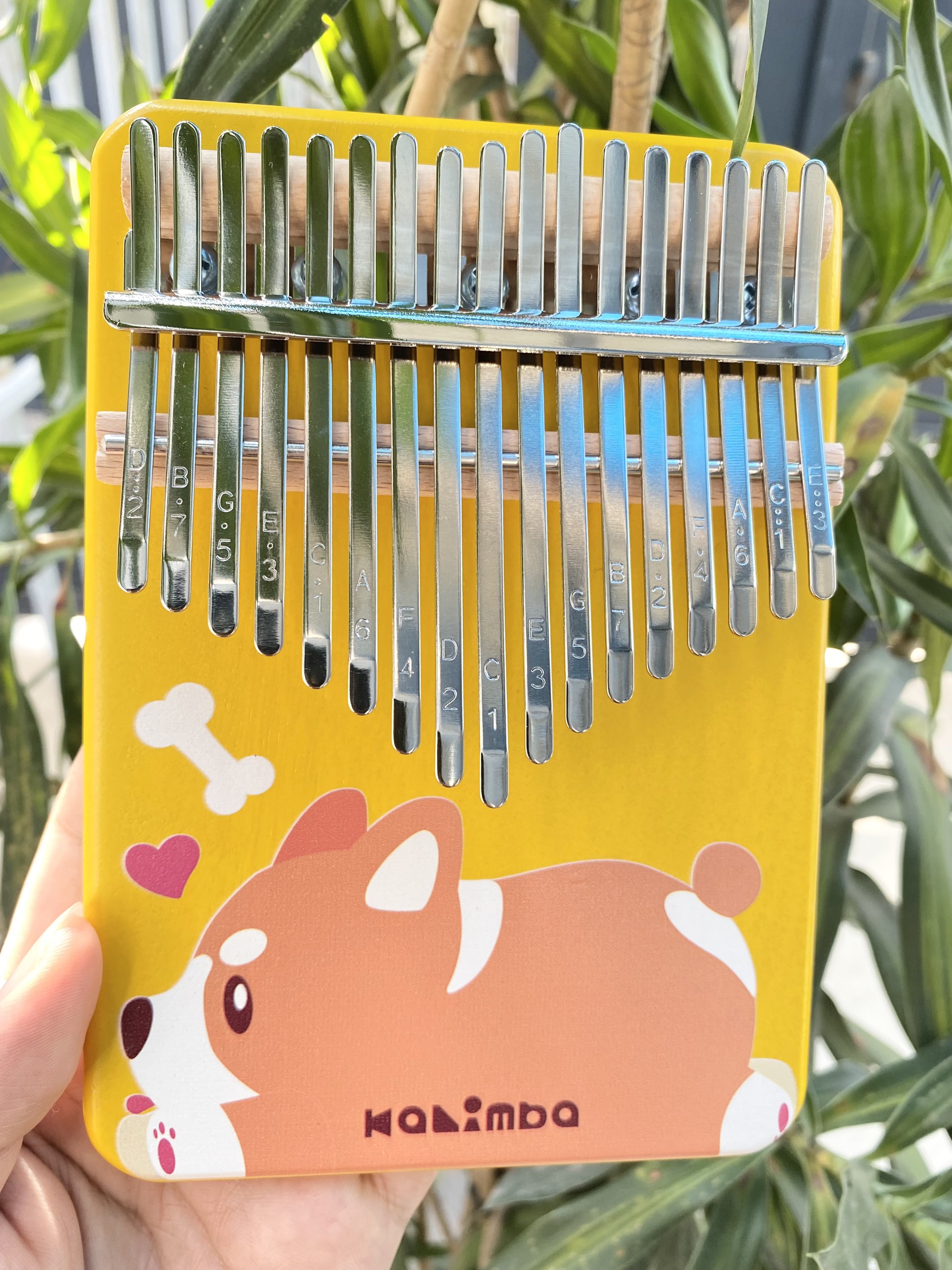 Bằng cách gì mà Kalimba lại thu hút nhiều người chơi đến thế Bằng cách gì mà Kalimba lại thu hút nhiều người chơi đến thế