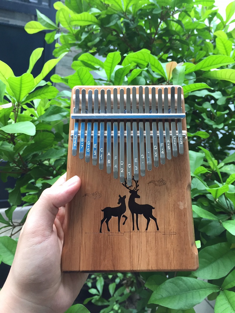 Đọc bài viết này để hiểu rõ về Kalimba mà không phải mất phí gì cả Đọc bài viết này để hiểu rõ về Kalimba mà không phải mất phí gì cả