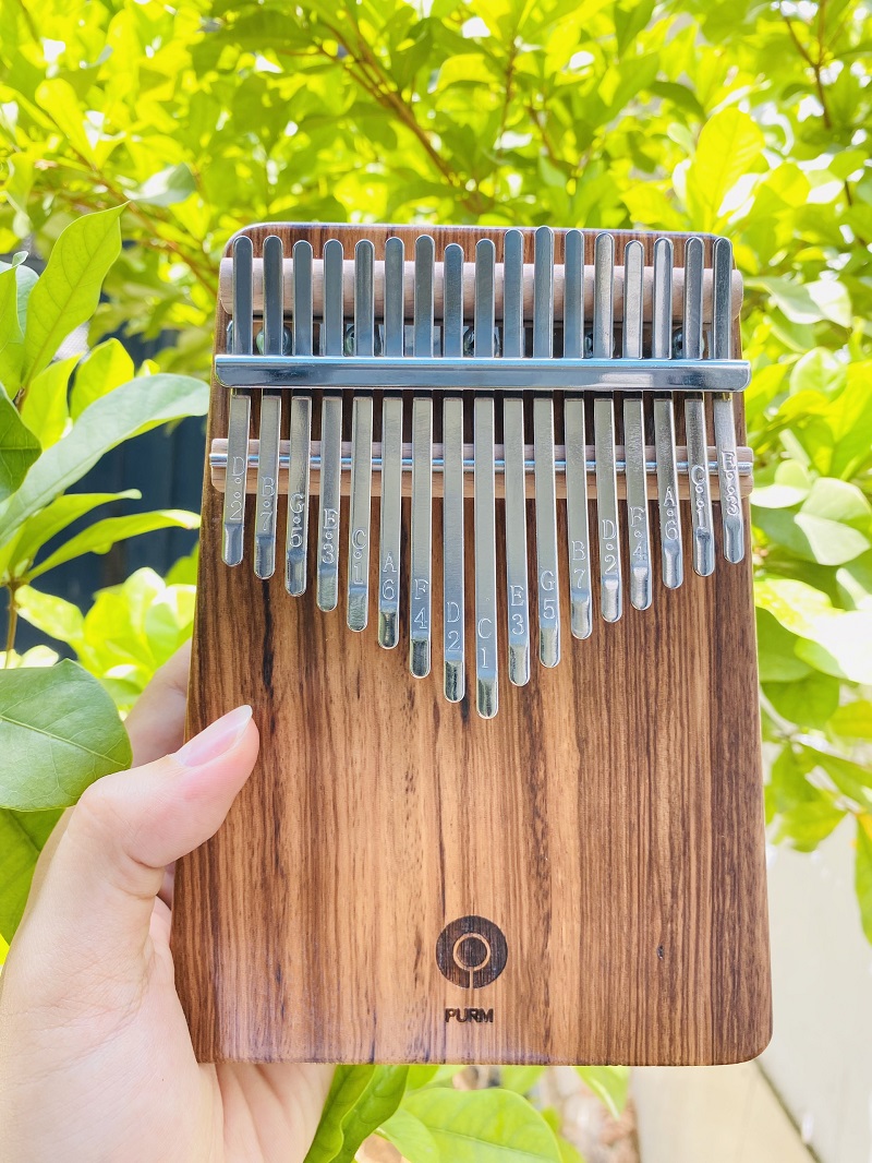 Kalimba hiện tại ở Việt Nam khu vực TPHCM đang diễn ra như thế nào? Kalimba hiện tại ở Việt Nam khu vực TPHCM đang diễn ra như thế nào?