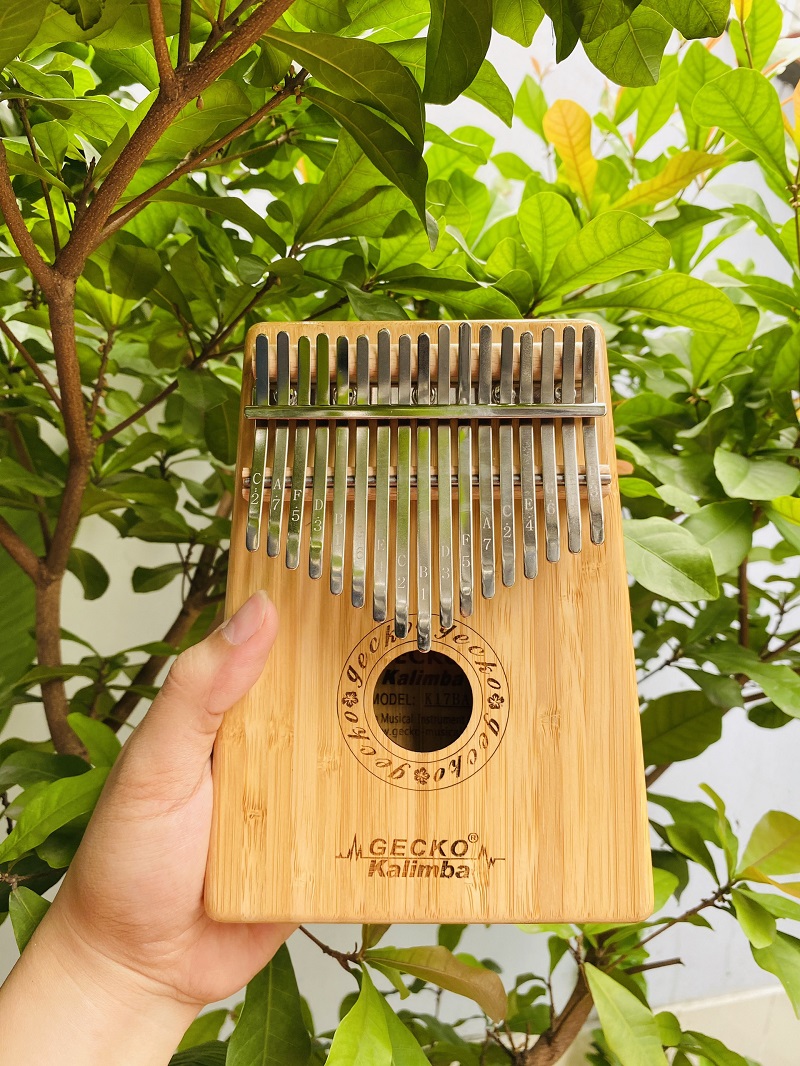 Đọc bài viết này để hiểu rõ về Kalimba mà không phải mất phí gì cả Đọc bài viết này để hiểu rõ về Kalimba mà không phải mất phí gì cả