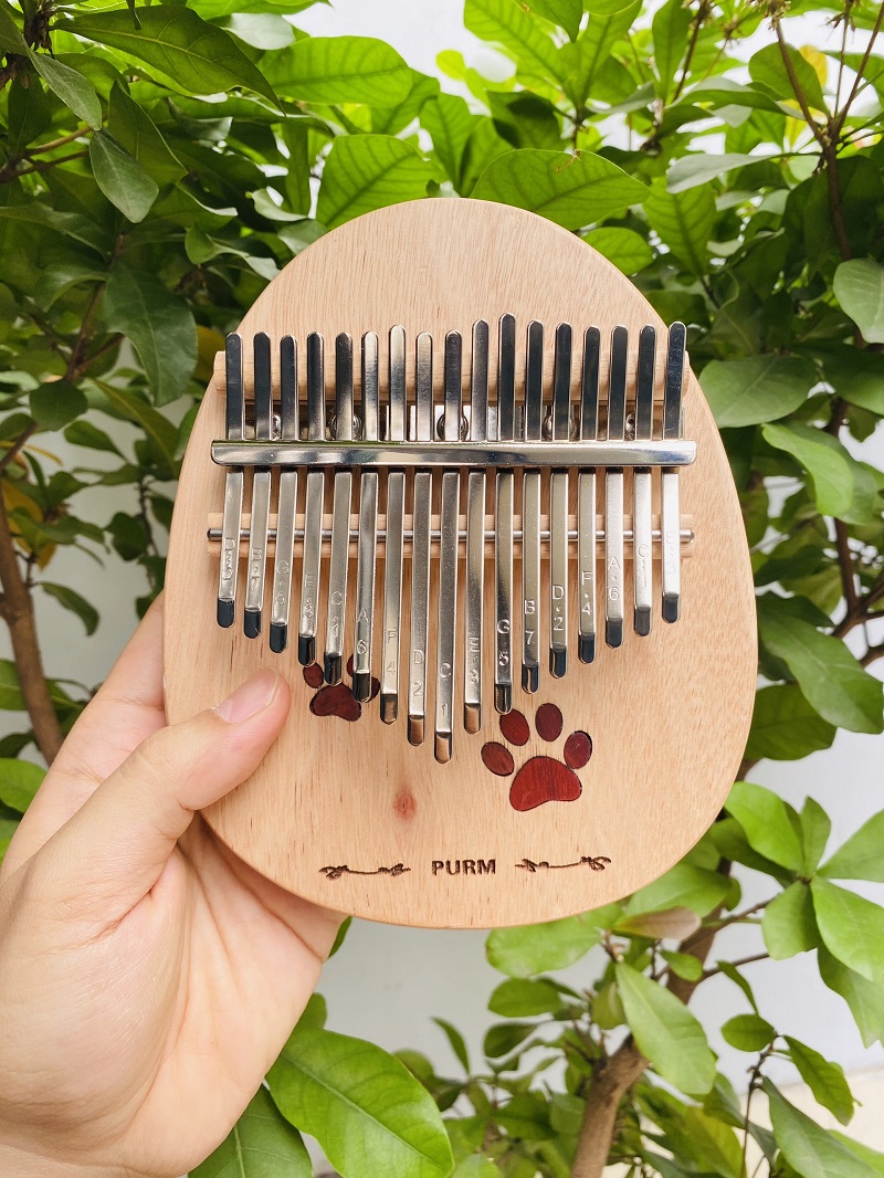 Làm thế nào Kalimba lại được sự chú ý của nhiều người ở mọi khu vực đến thế? Làm thế nào Kalimba lại được sự chú ý của nhiều người ở mọi khu vực đến thế?