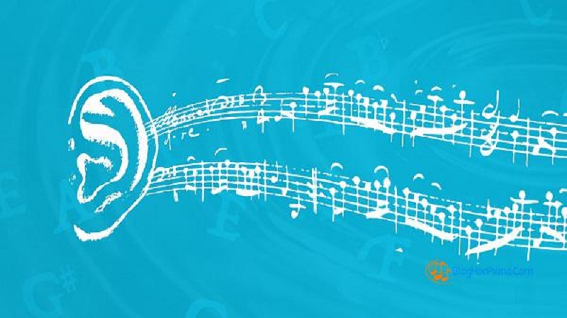 Cảm âm giúp chúng ta chơi nhạc tốt hơn Cảm âm giúp chúng ta chơi nhạc tốt hơn