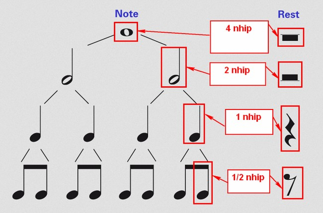 Các loại nốt trong tab Các loại nốt trong tab