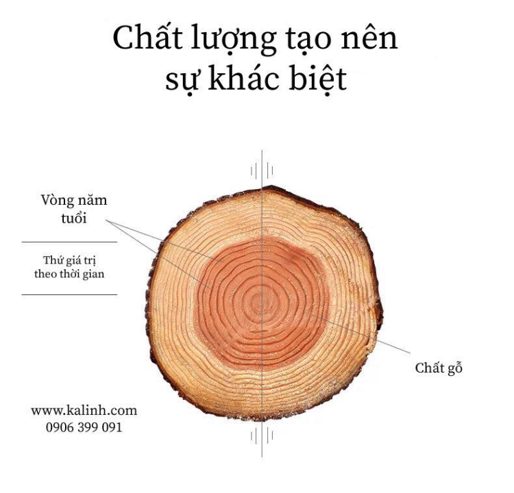 Chất liệu gỗ để làm kalimba Chất liệu gỗ để làm kalimba