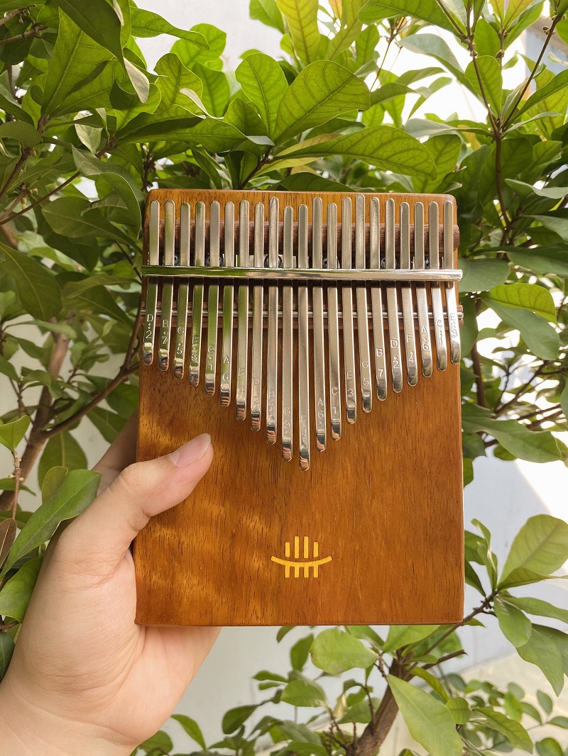 Đàn Kalimba 21 Phím Gỗ Trinh Nam Âm Đáy KaLinh Đàn Kalimba 21 Phím Gỗ Trinh Nam Âm Đáy KaLinh