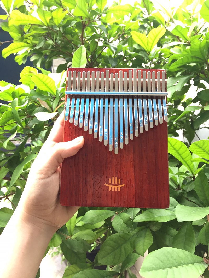 Đàn Kalimba 21 Phím Gỗ Hoa Lê Đỏ Âm Đáy KaLinh Đàn Kalimba 21 Phím Gỗ Hoa Lê Đỏ Âm Đáy KaLinh