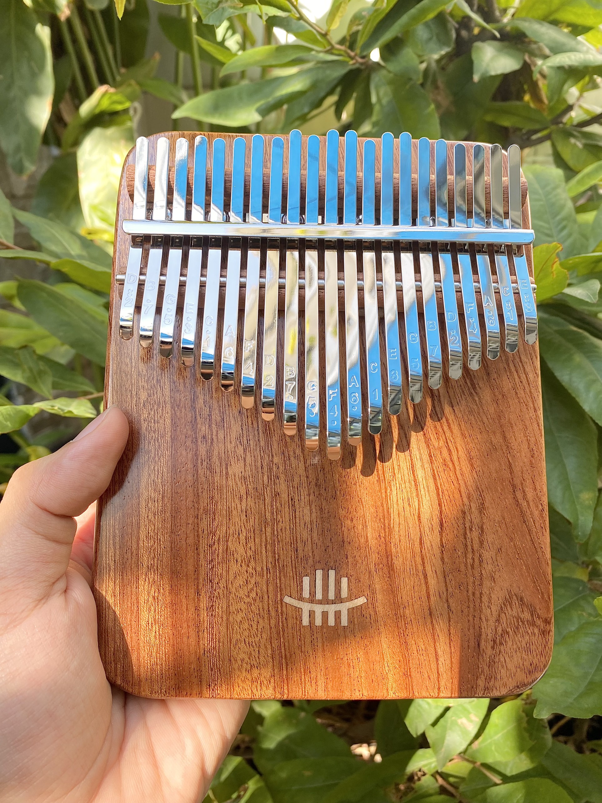 Xuất hiện đốt phá của đàn Kalimba 21 phím Xuất hiện đốt phá của đàn Kalimba 21 phím