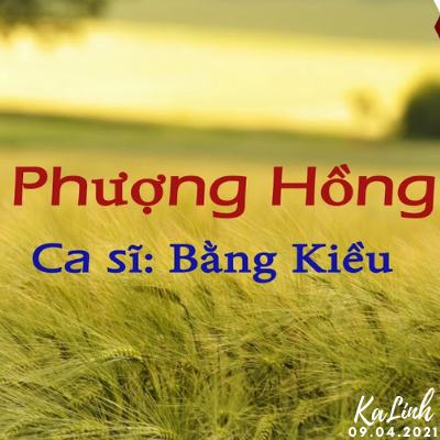 Phượng Hồng - Cảm Âm Kalimba