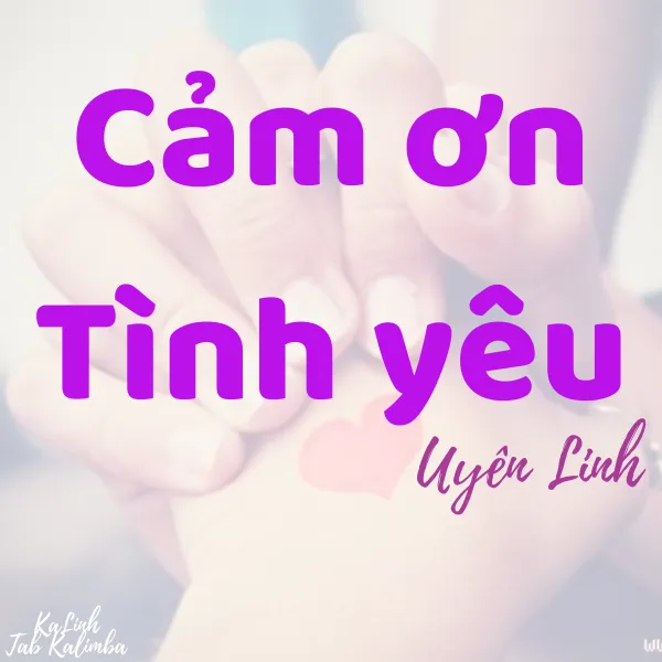 Cảm Ơn Tình Yêu - Cảm Âm Kalimba